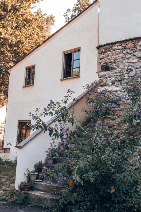 Le Petit Chateau Vezzi Portio Exterior photo
